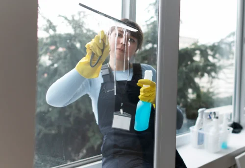 Nettoyage de vitres intérieures et extérieures à Saint-Laurent-la-Gâtine